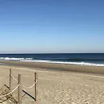 Sea Level 203