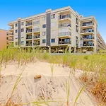 Waikiki 305