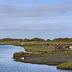 Bahia Vista I
