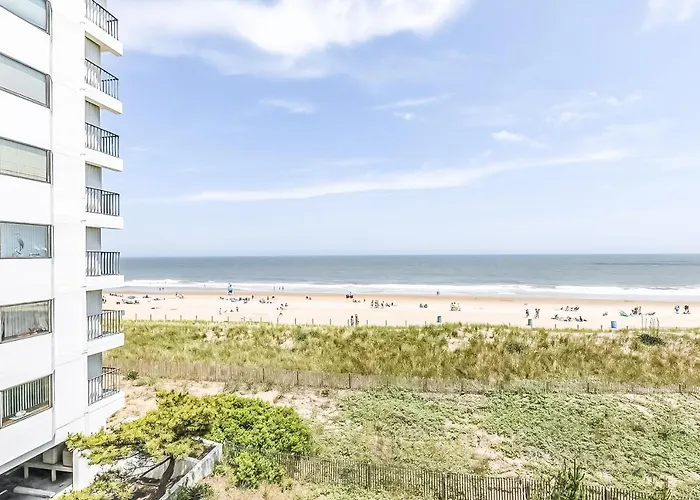 81 Beach Hill 411
