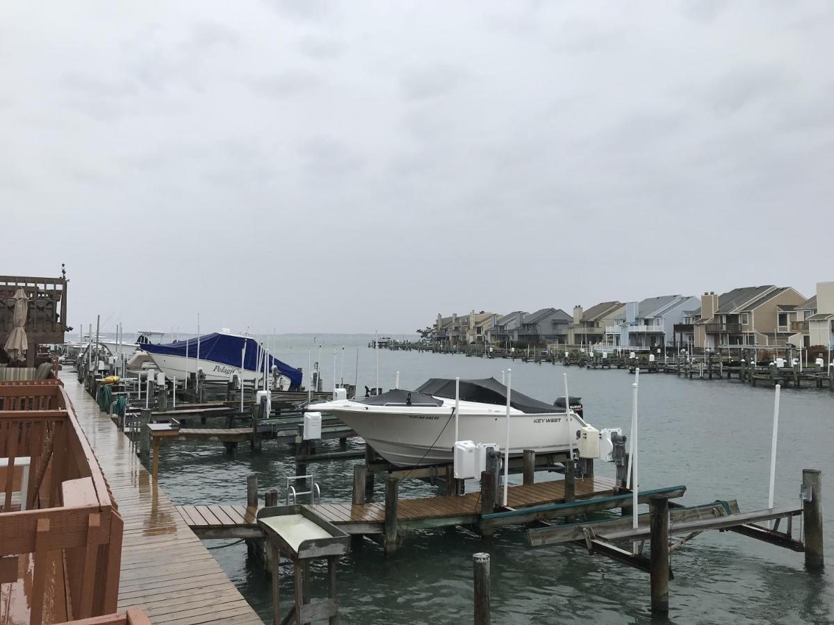 Bayshore Beauty Holiday home