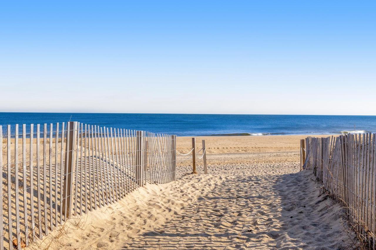 Salty Sands