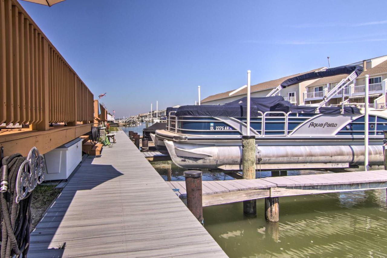 Airy Ocean On Canal Front With Deck! Apartment *