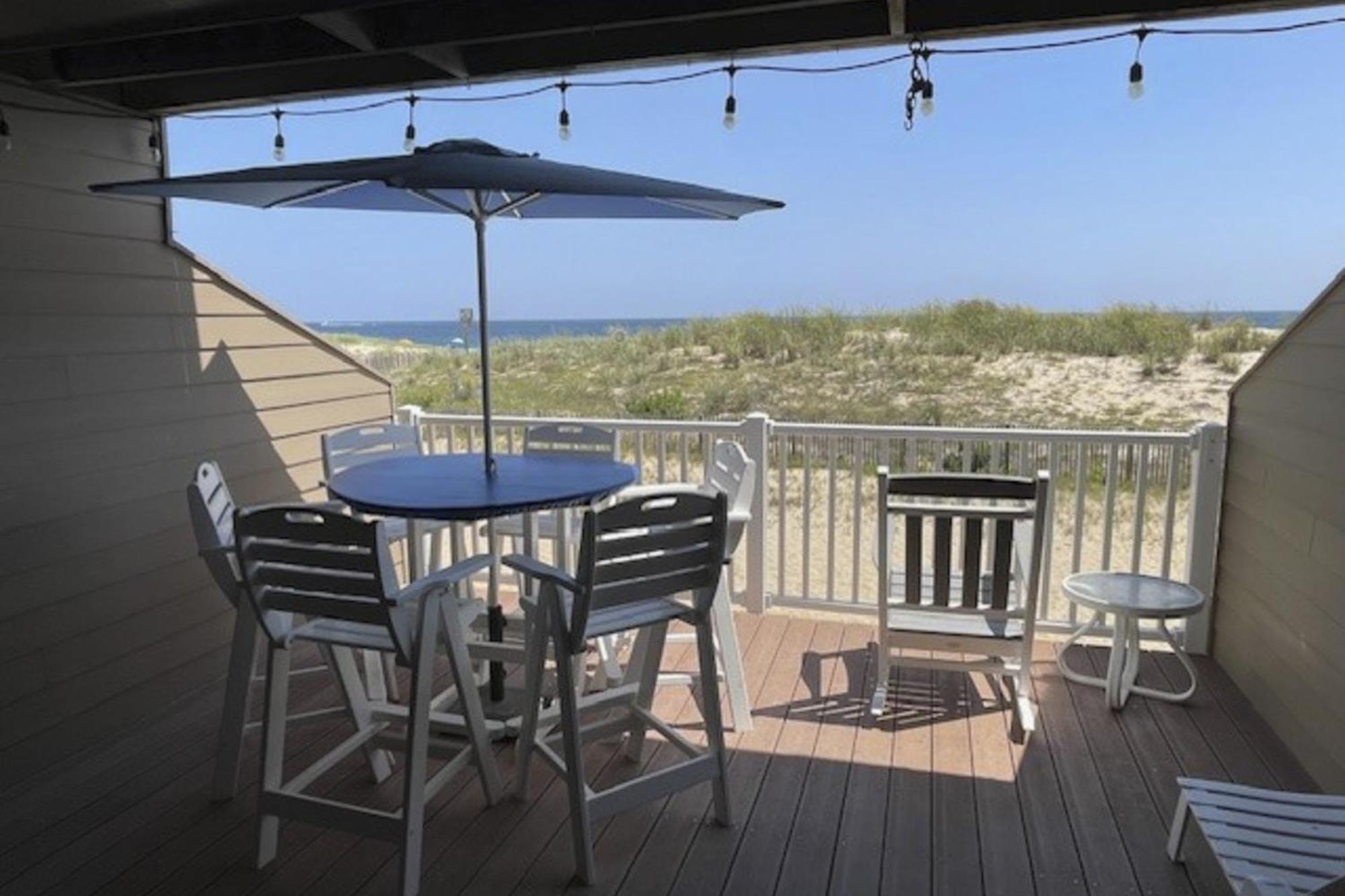 Seal 6 Ocean City