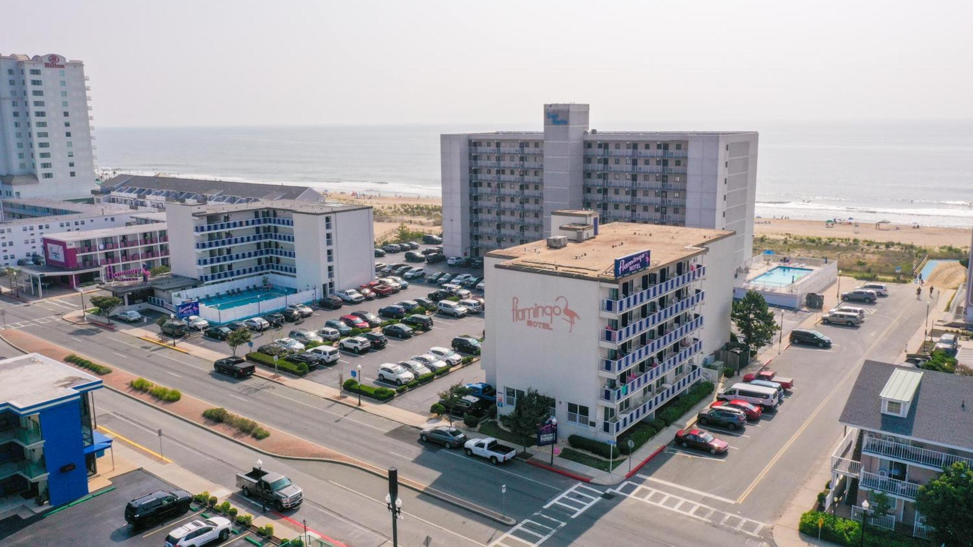 Flamingo 2* Ocean City