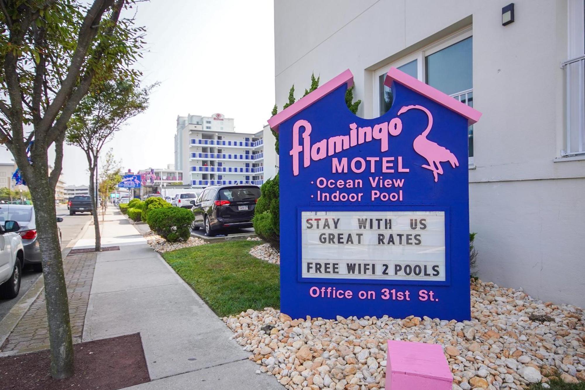 Flamingo Ocean City