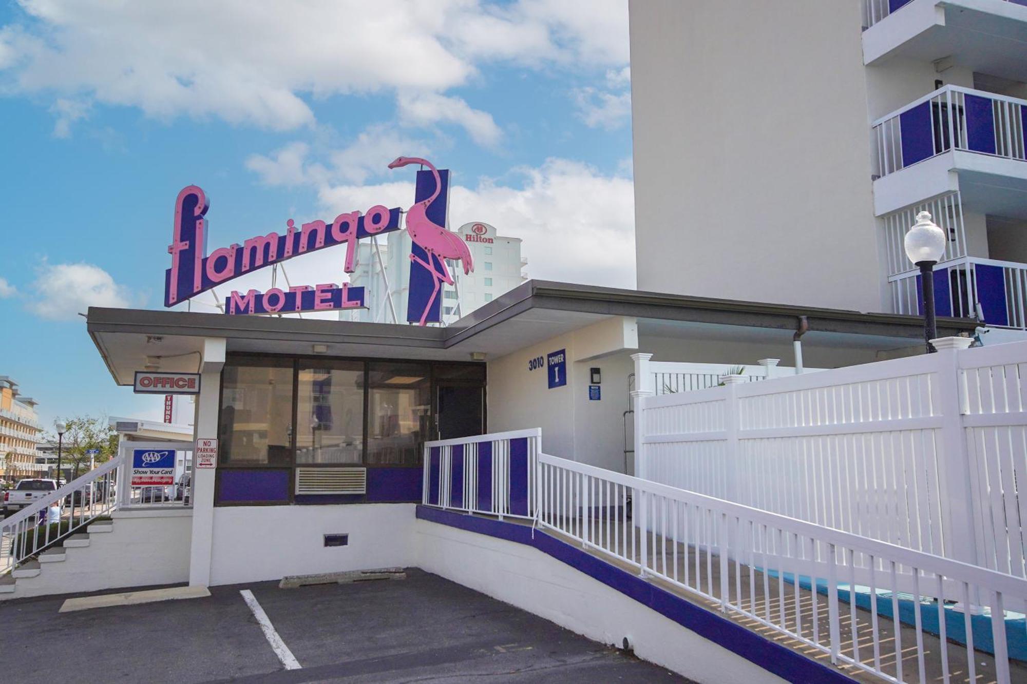 Flamingo Ocean City