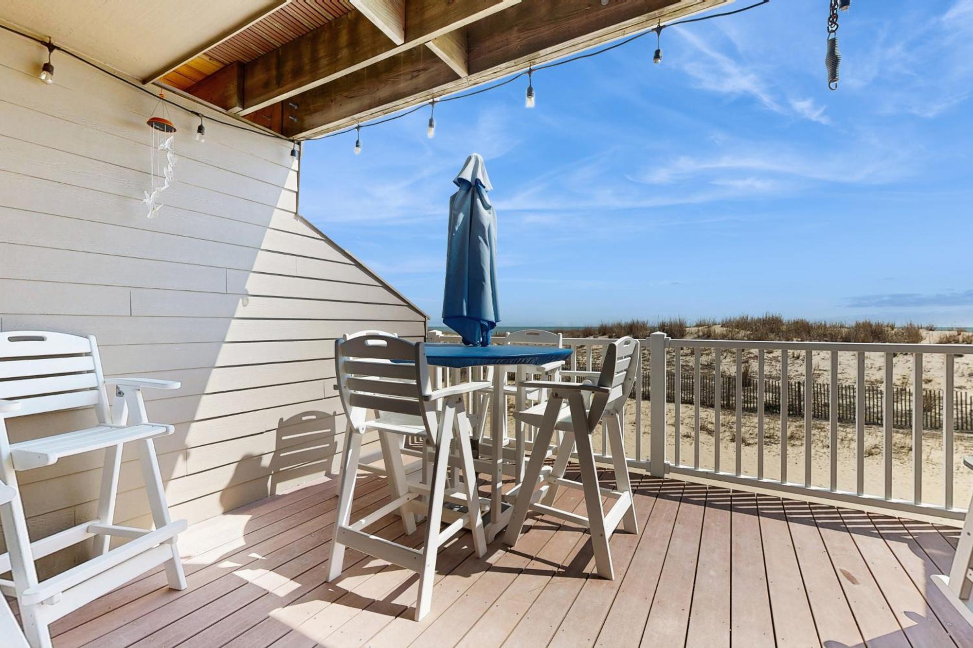 Seal 6 * Ocean City
