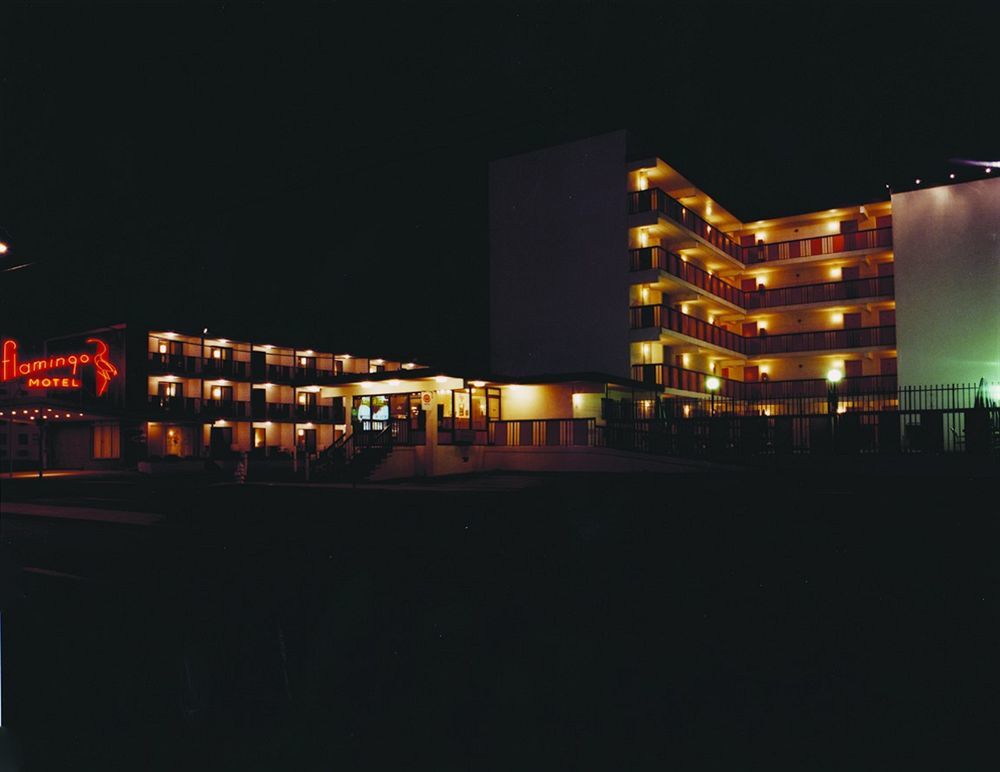 Motel Flamingo Ocean City
