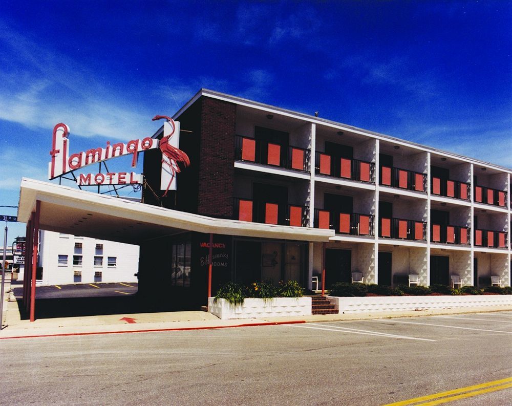 Flamingo 2* Ocean City