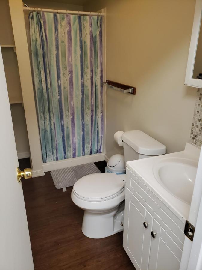 Sophie's Place