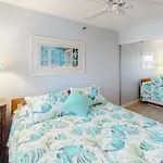 Sand Dollar I 301
