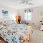 Sand Dollar I 301