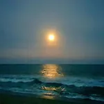 Ocean Point 302