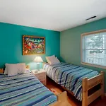 Cinnamon Teal 10