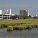 Our Place At The Beach 202E