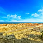 Summer Beach 506