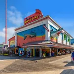Assateague House 306