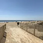 Amber Waves