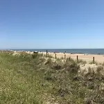 Amber Waves