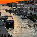Island Cove C