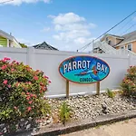 Parrot Bay 17
