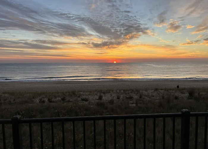 Golden Surf