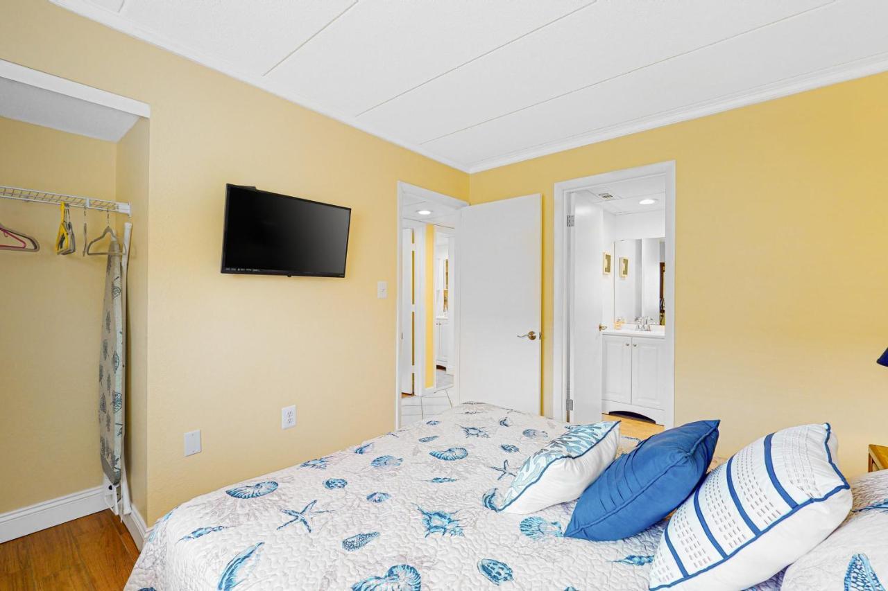 Canvasback Ocean City