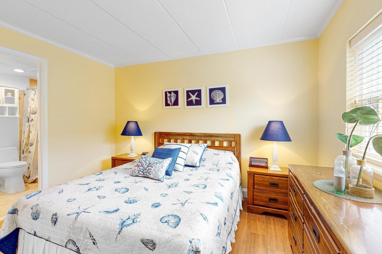 Canvasback Ocean City