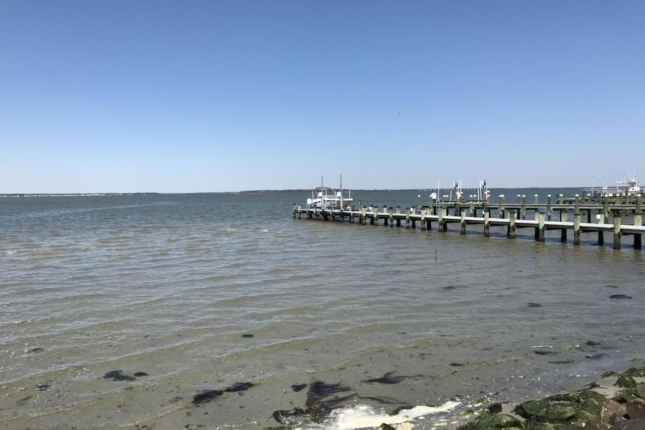 Jamaica Bay *