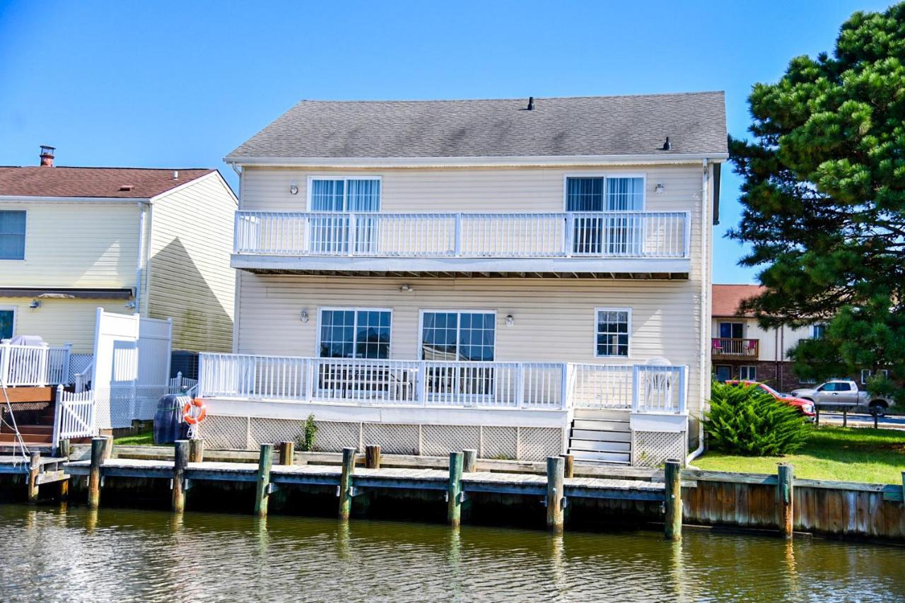 Bayside View