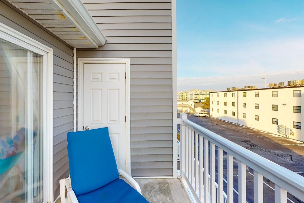 Cinnamon Teal 10 * Ocean City