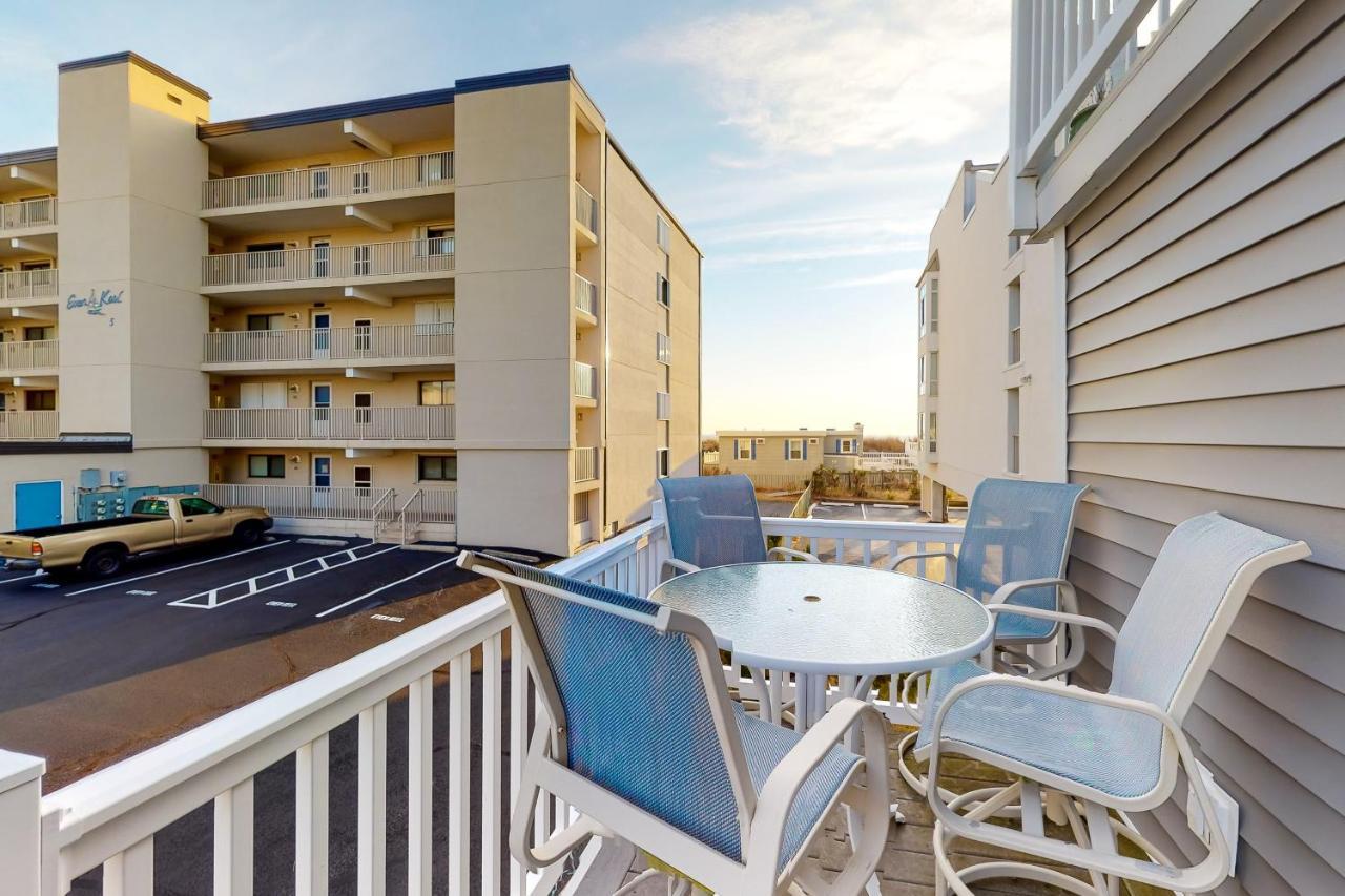 Cinnamon Teal 10 Ocean City