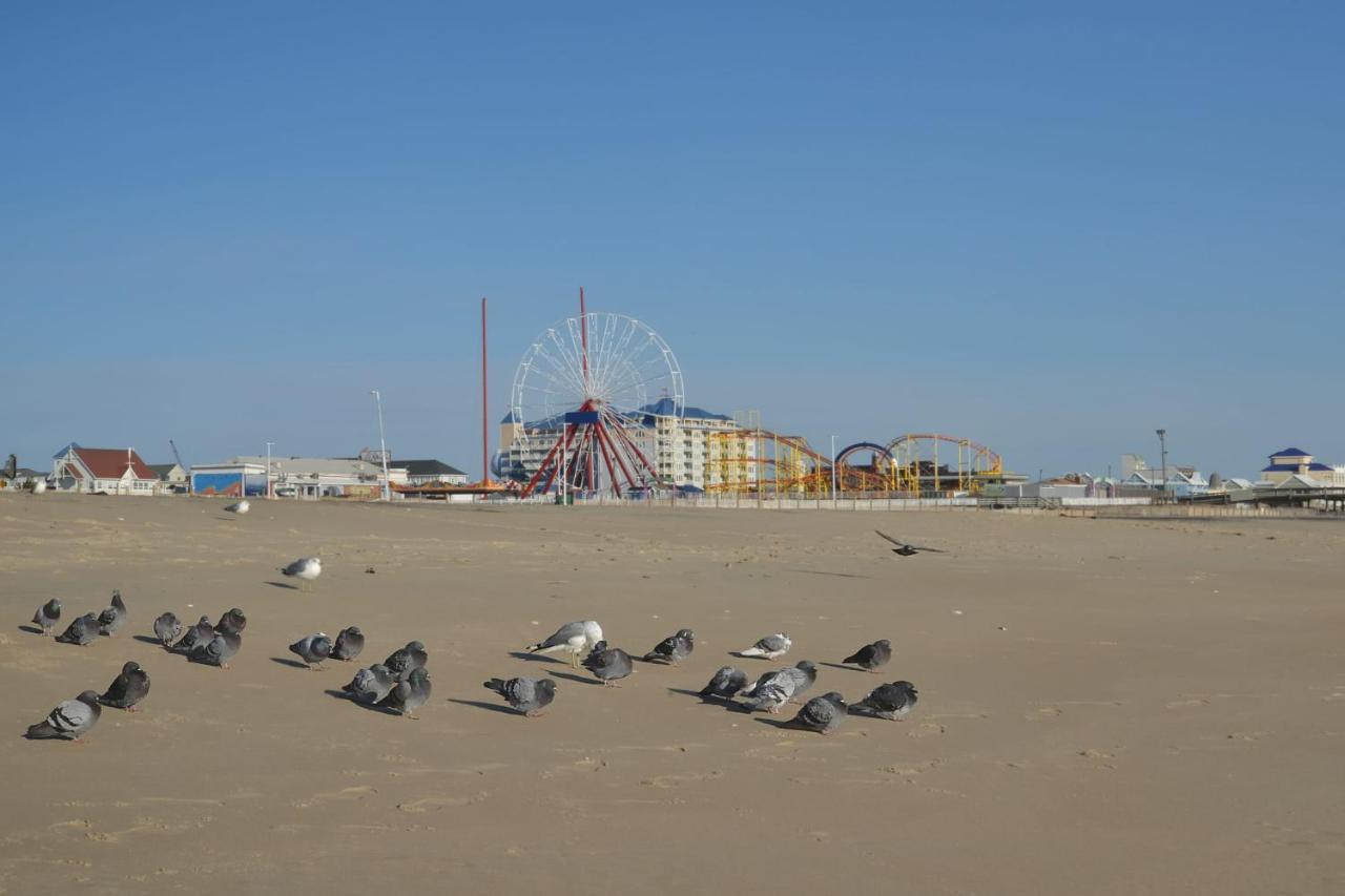 Apartment Coral Beauty Ocean City