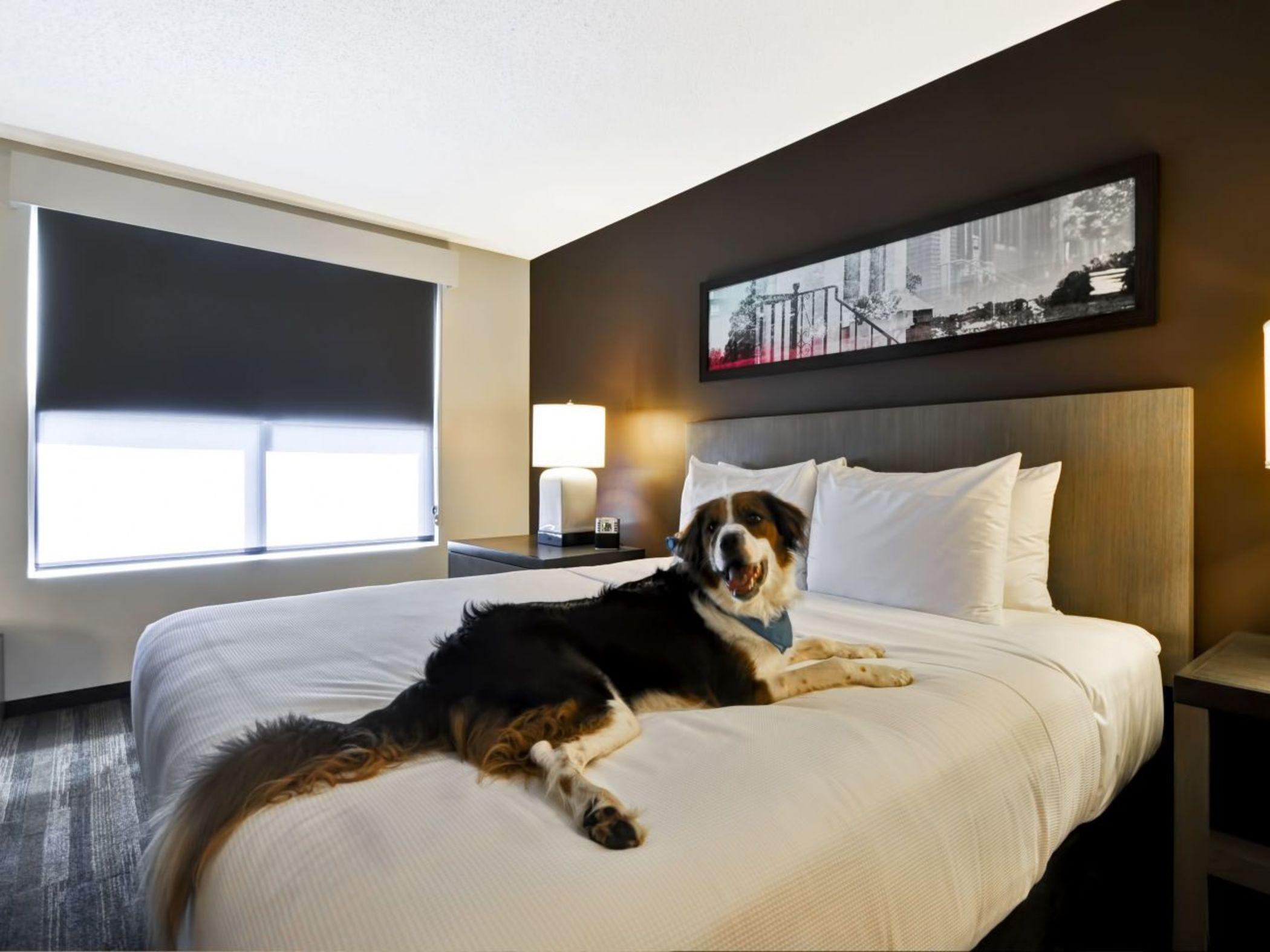 Hyatt Place Ocean Oceanfront 3*