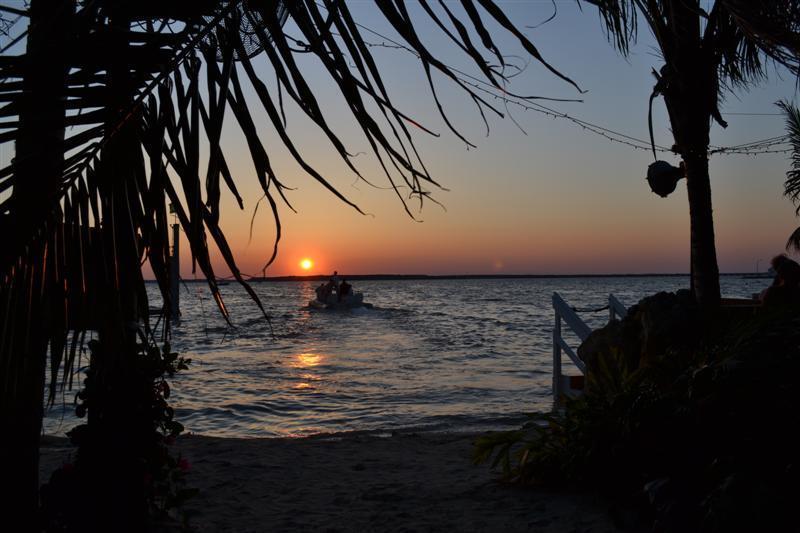 Seacrets 2*