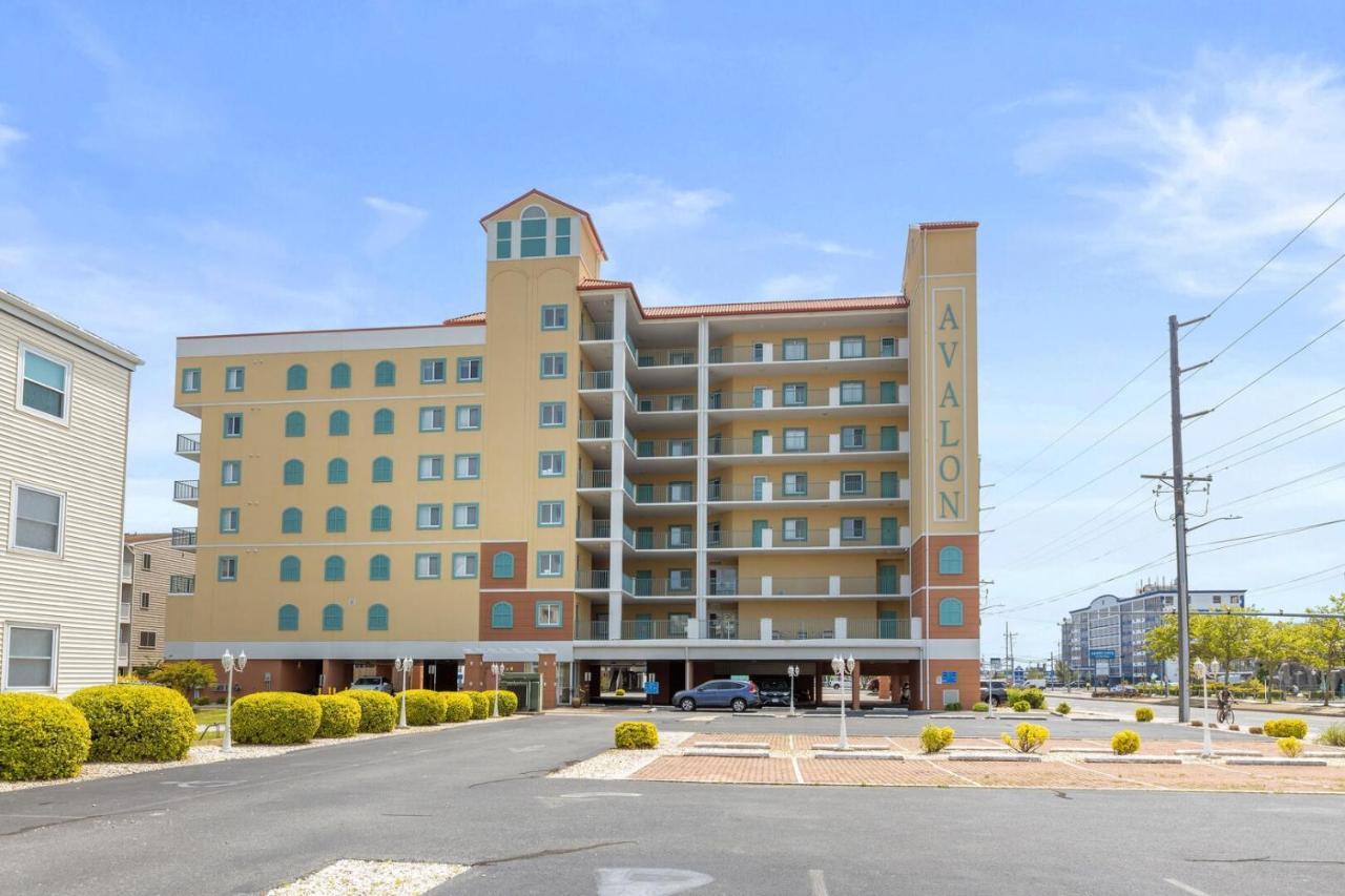 Apartment Avalon 507