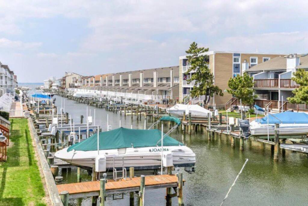 Apartment Lucy's Bayside Paradise *