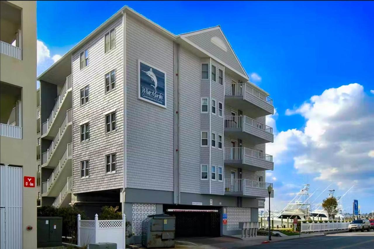 White Marlin 310b Ocean City