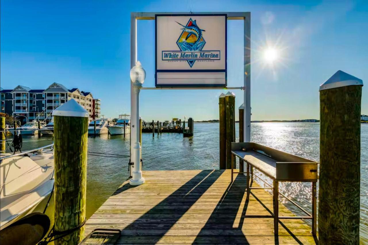 White Marlin 310b Ocean City