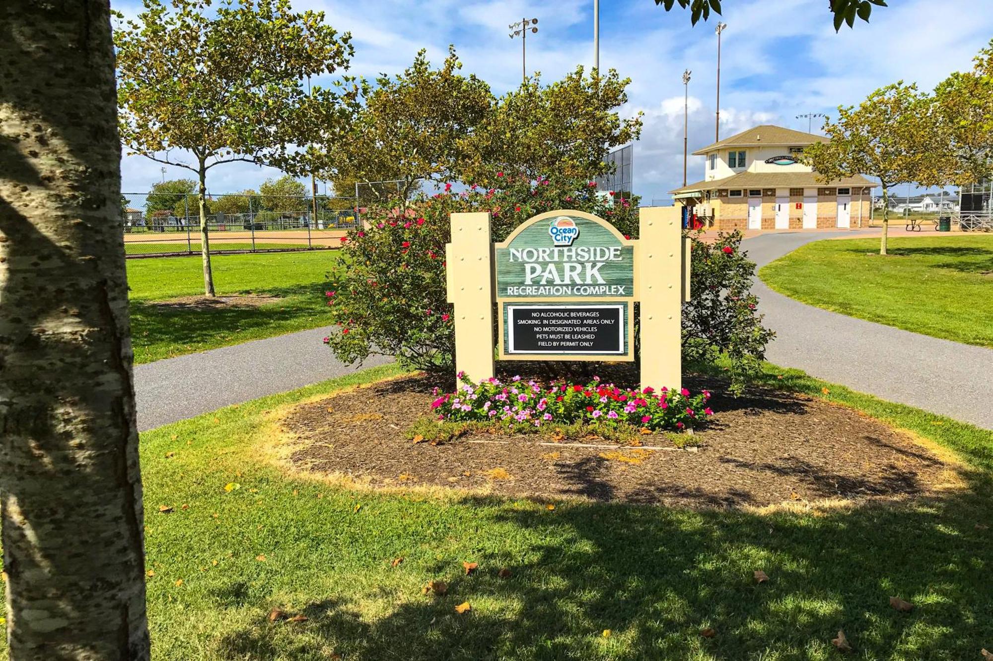 Dolphin Bay I