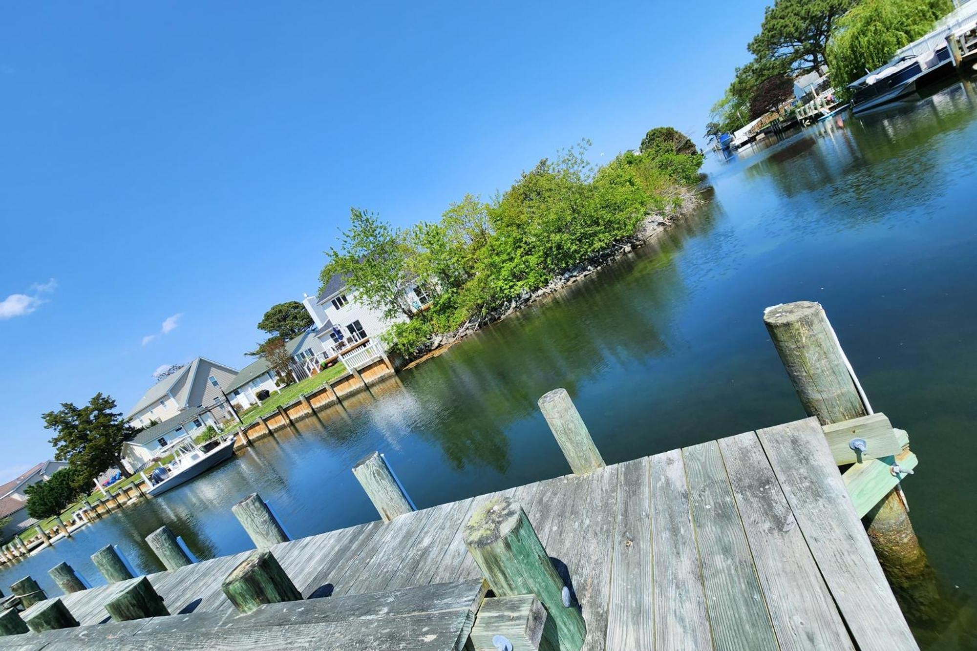 Dockside Daydreamin'