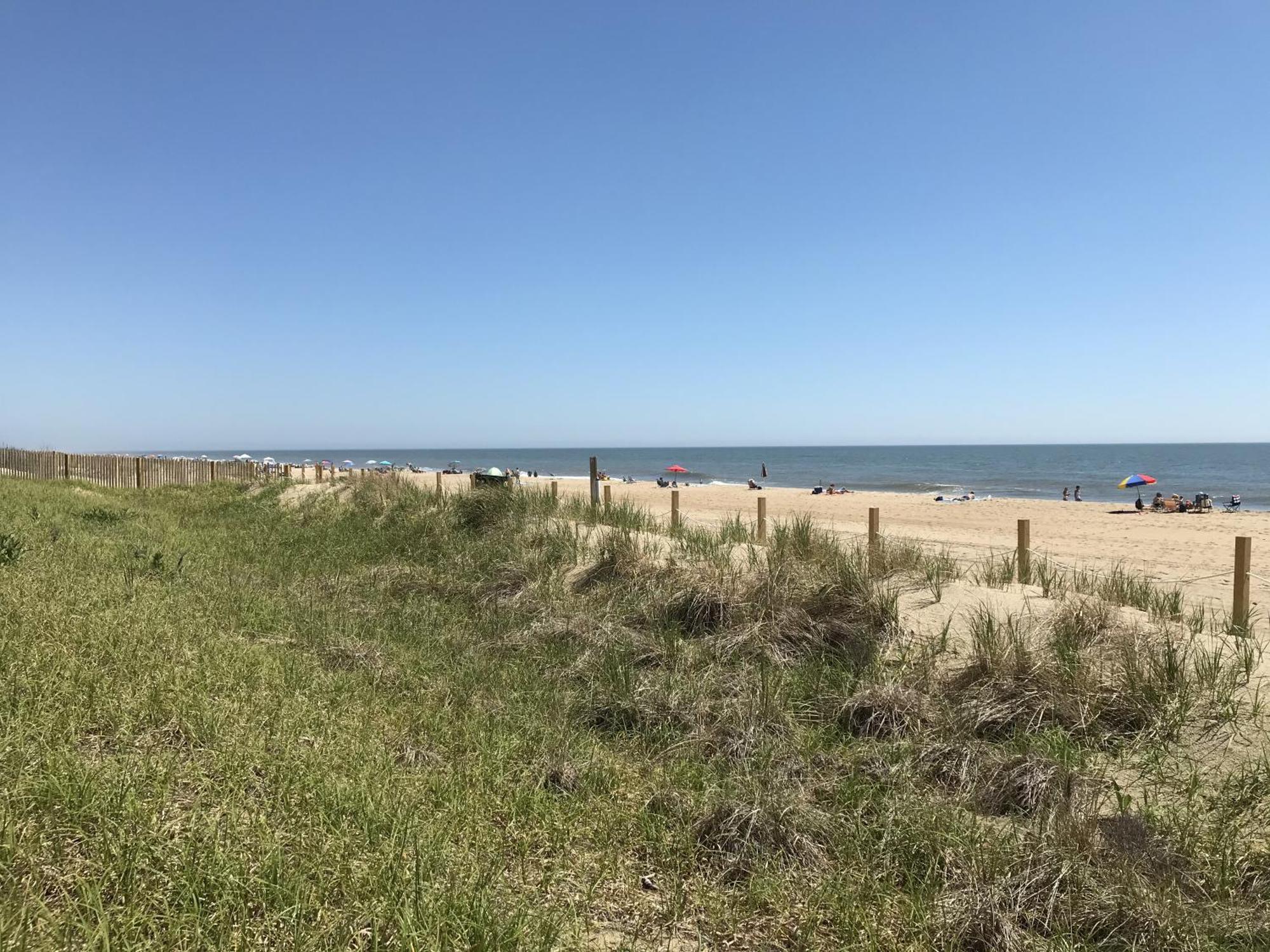 Amber Waves Ocean City