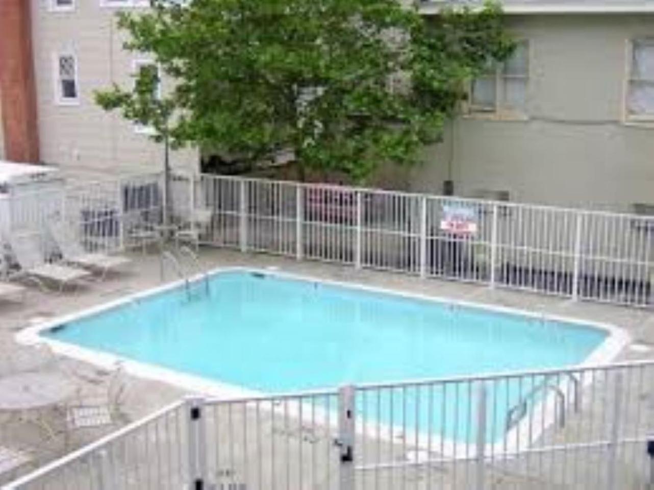 504 Direct Oceanfront With Balcony, White Marlin Open, Pool-parking-gym-kitchenette Apartment Ocean City