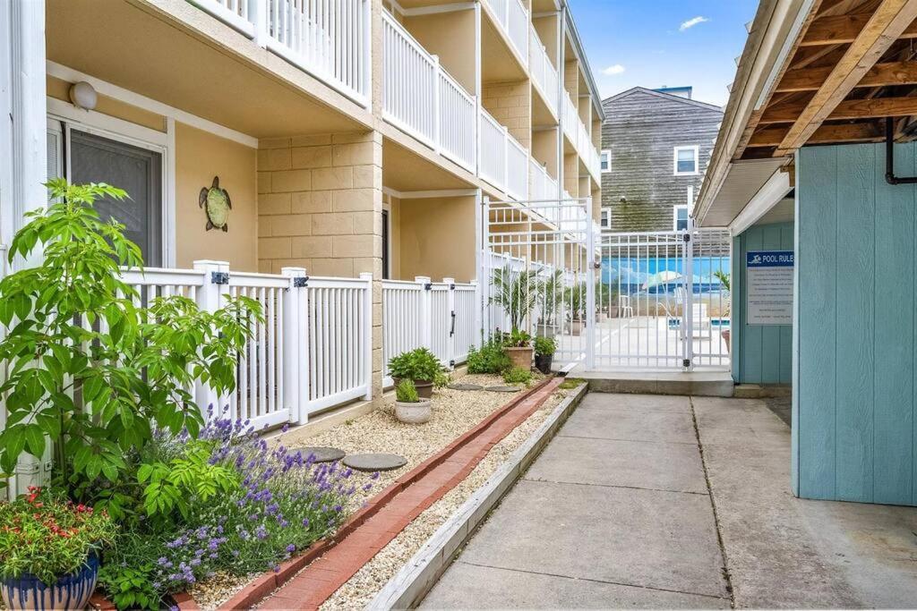 Updated Charming Studio,steps To Beach,outdoor Pool * Ocean City