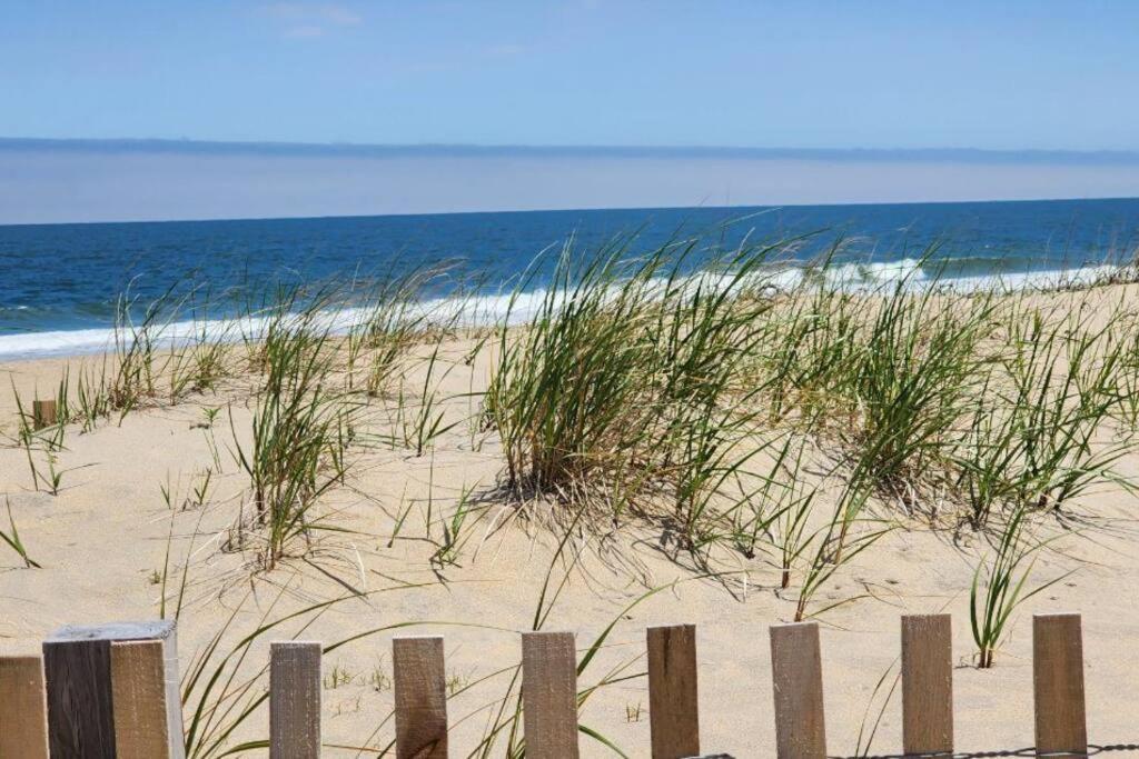 Updated Charming Studio,steps To Beach,outdoor Pool Apartment *