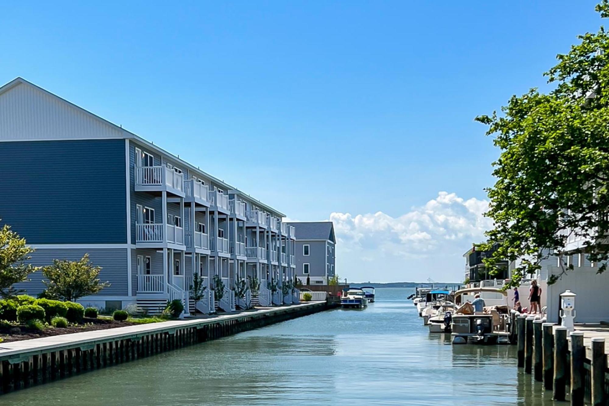Island Cove C Ocean City