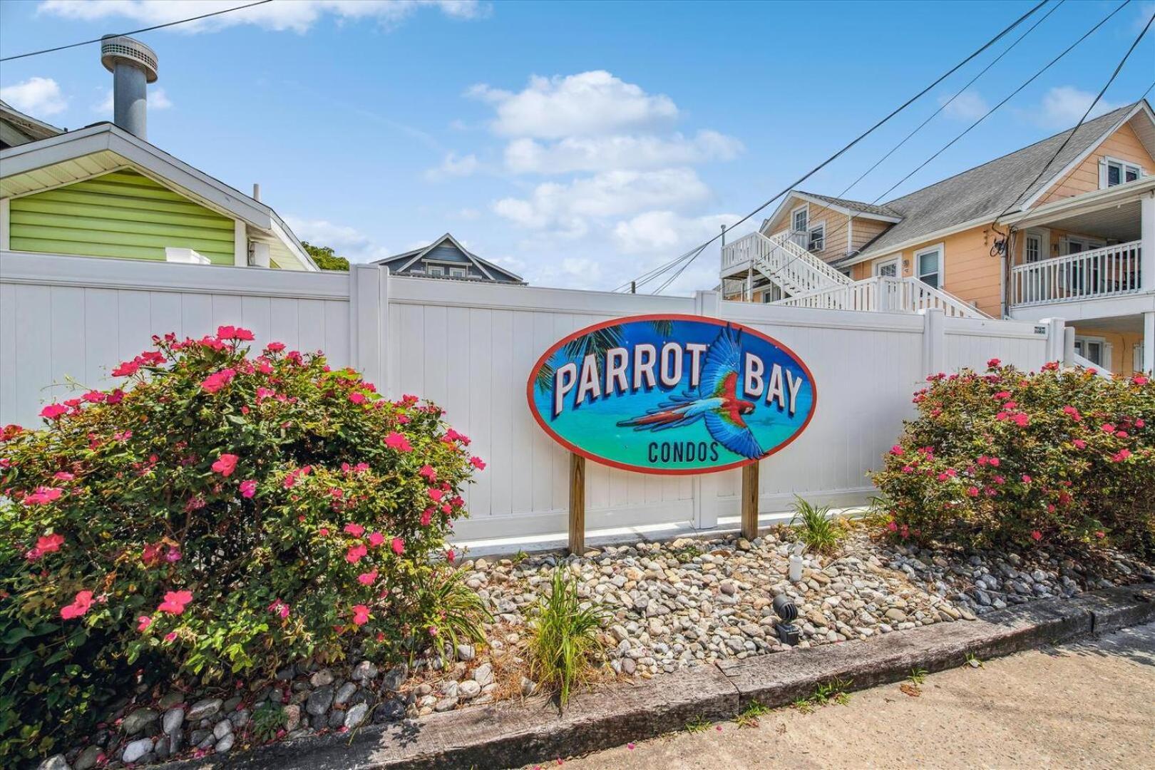 Parrot Bay 17 *