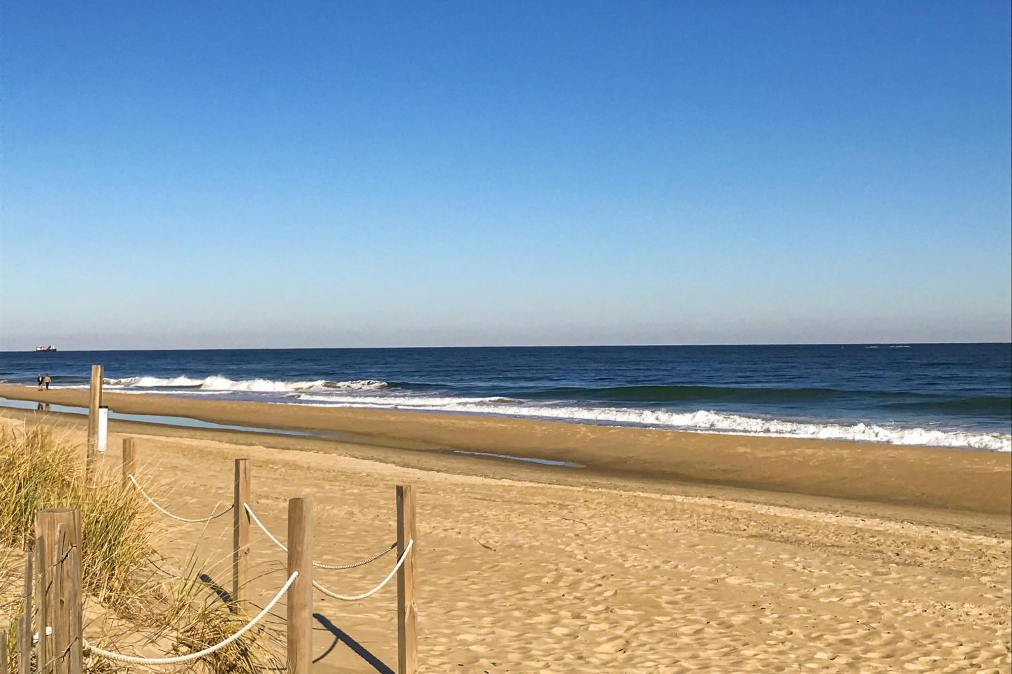 Pyramid 15g * Ocean City