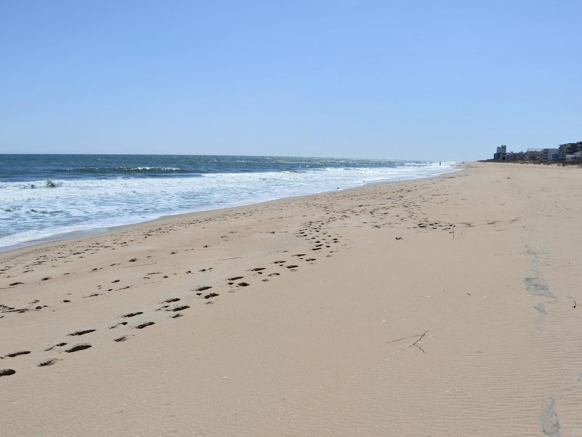 Apartment New! Direct Oceanfront End Unit With Private Balcony *